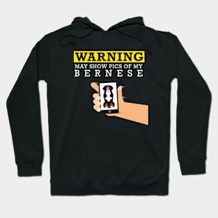 Bernese Mountain Dog, May Show Pics of My Hoodie